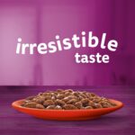 Whiskas 1+ Pouches Meaty Meals In Gravy – 12 Pouch Box - Image 2