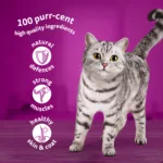 Whiskas 1+ Pouches Poultry Feasts In Gravy – 12 Pouch Box - Image 3