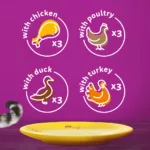 Whiskas 1+ Pouches Poultry Feasts In Gravy – 12 Pouch Box - Image 4