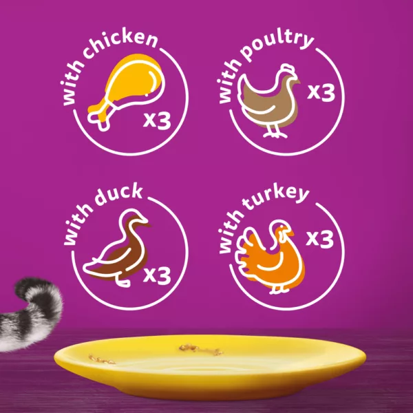 Whiskas 1+ Pouches Poultry Feasts In Gravy – 12 Pouch Box - Image 4