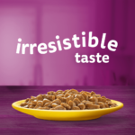 Whiskas 1+ Pouches Poultry Feasts In Gravy – 12 Pouch Box - Image 2