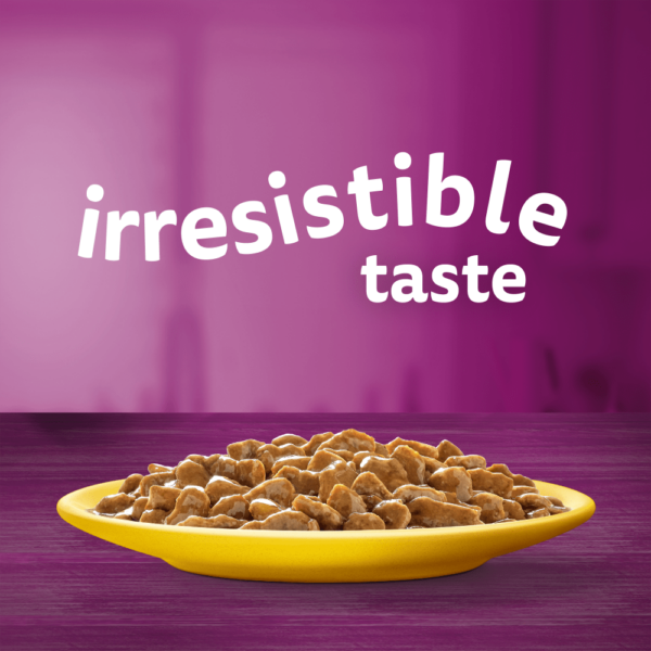 Whiskas 1+ Pouches Poultry Feasts In Gravy – 12 Pouch Box - Image 2