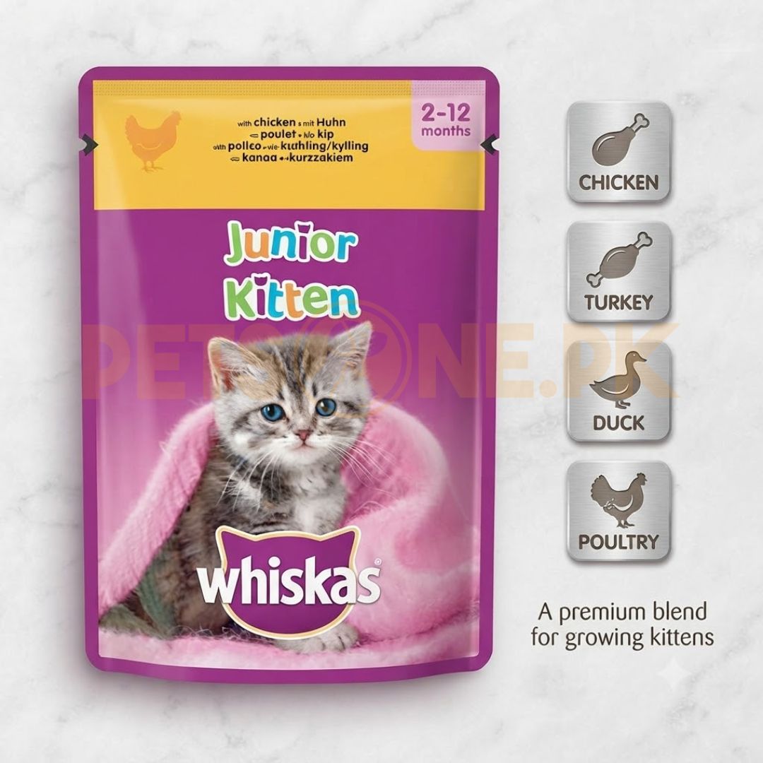Whiskas 2-12 Month Kitten Poultry Feasts In Jelly – 85 Gram Pouch Whiskas 2-12 Month Kitten Poultry Feasts In Jelly – 85 Gram Pouch - Image 1