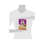 Whiskas 2-12 Months Kitten Complete Chicken Dry Cat Food – 300 Gram Box - Image 3