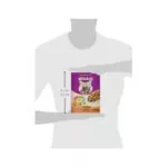 Whiskas 2-12 Months Kitten Complete Chicken Dry Cat Food – 300 Gram Box - Image 3