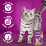 WHISKAS Wet Food /  Can in Jelly / Whiskas Tin - Image 4