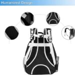 Cat Backpack / Cat Carrying Bag / Transparent Back - Image 6