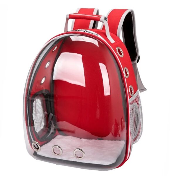 Cat Backpack / Cat Carrying Bag / Transparent Back - Image 3