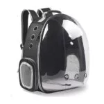 Cat Backpack / Cat Carrying Bag / Transparent Back - Image 2
