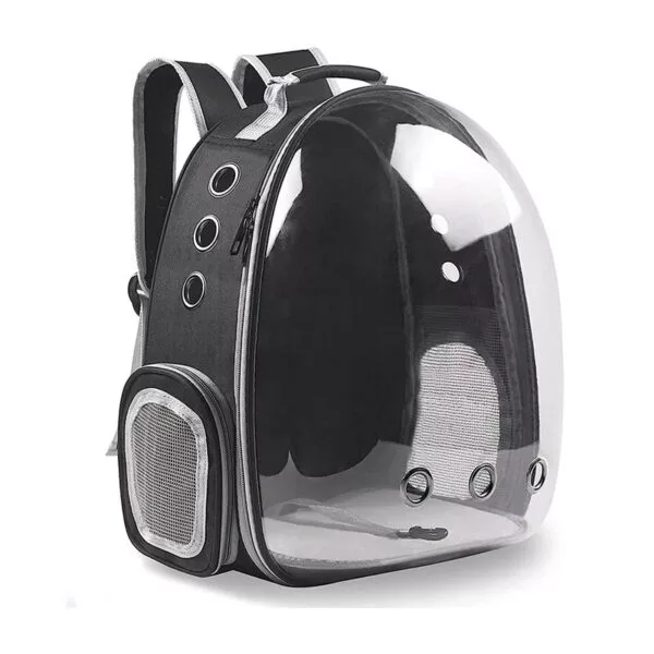 Cat Backpack / Cat Carrying Bag / Transparent Back - Image 2