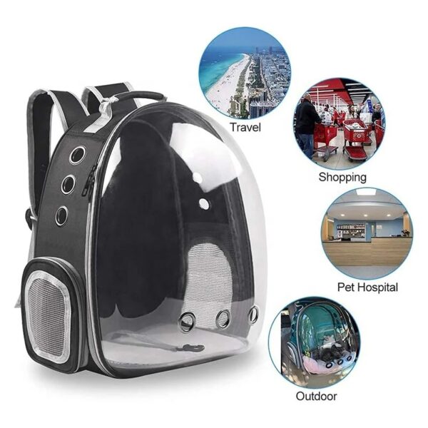 Cat Backpack / Cat Carrying Bag / Transparent Back - Image 8