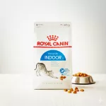 Royal Canin Indoor Adult Dry Cat Food
