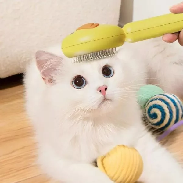 Duck Design Self Cleaning Button Brush For Cats And Dogs - Image 4