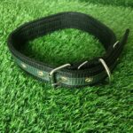 Nylon Dog Collar