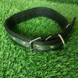 Nylon Dog Collar
