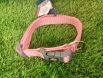 Trixie Premium Collar for Dogs - Image 2