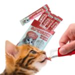 Gino Creamy Lickable Treats For Cat – 75 Gram - Image 3