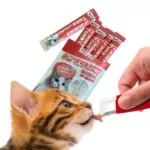 Gino Creamy Lickable Treats For Cat – 75 Gram - Image 3