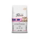 Felicia Kitten and Mother Care