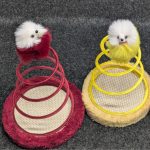 Interactive Spring Plate Cat Toy Kitten Toys With Stable Scratcher And Ball