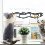 Interactive Wave Orbital Ball Cat Track Toy – Playing Tunnel - Image 7