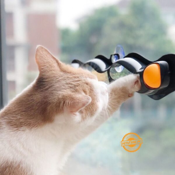 Interactive Wave Orbital Ball Cat Track Toy – Playing Tunnel - Image 8