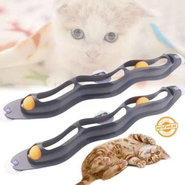 Interactive Wave Orbital Ball Cat Track Toy – Playing Tunnel - Image 10