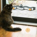 Interactive Wave Orbital Ball Cat Track Toy – Playing Tunnel - Image 12