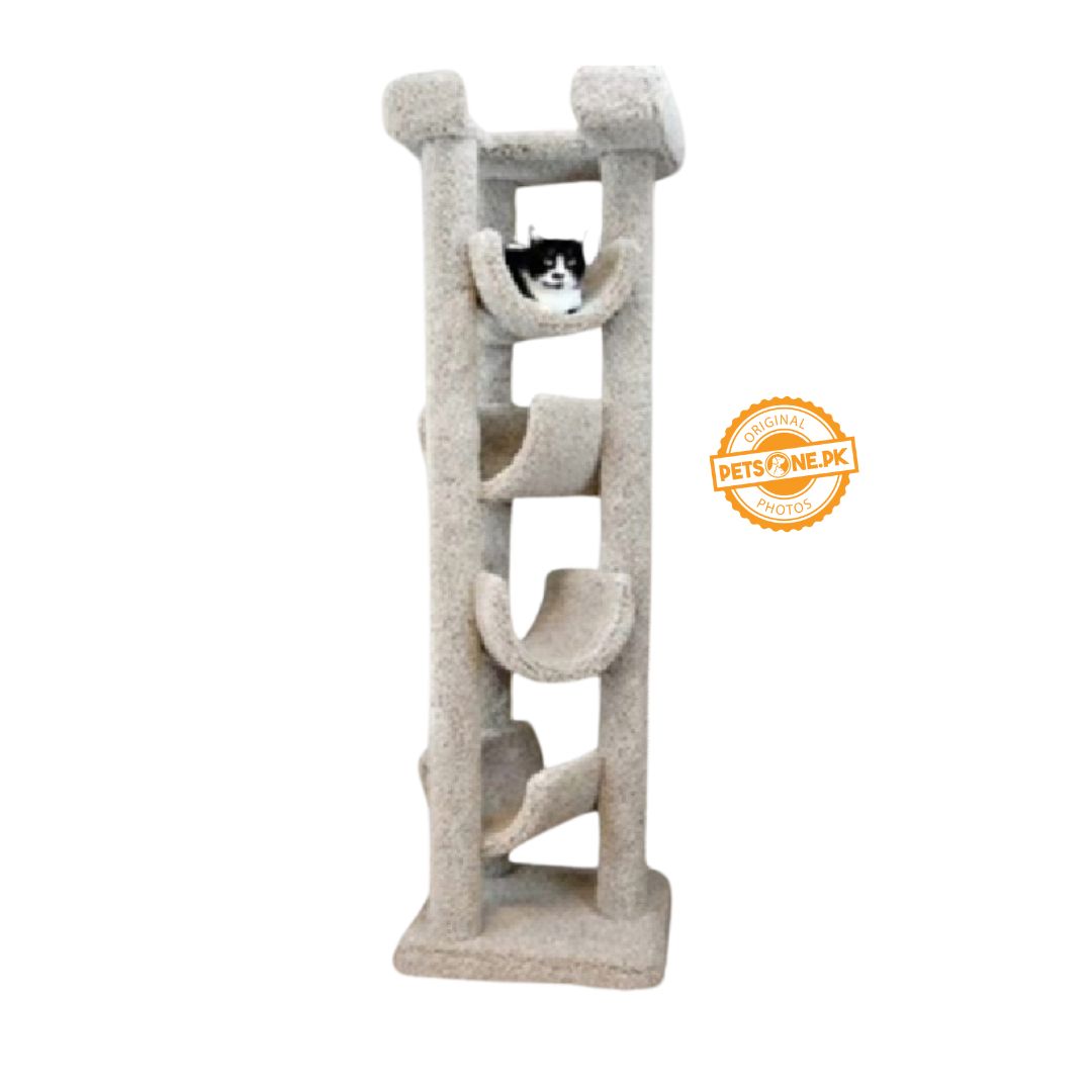 Scratching Post For Cats – Curve Tree Design - PetsOne.pk