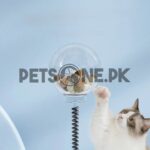 Interactive Pet Feeding Dispenser Ball With Spring - Image 4