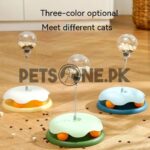 Interactive Pet Feeding Dispenser Ball With Spring - Image 6