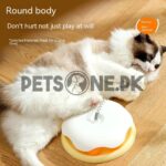 Interactive Pet Feeding Dispenser Ball With Spring - Image 7