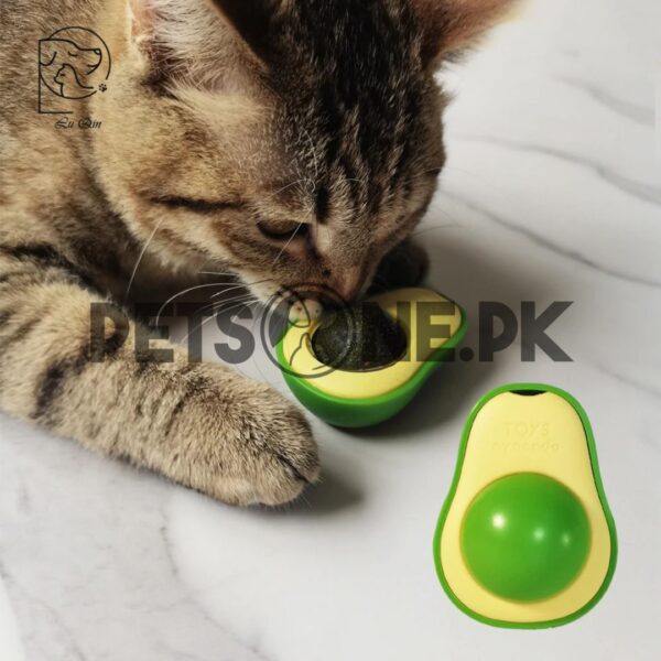 Avocado Shaped Catnip Wall Ball Cat Toys - Image 2