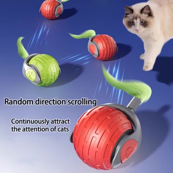 Interactive Moving Bouncing Ball Cat/Dog Toy With Worm - Image 4