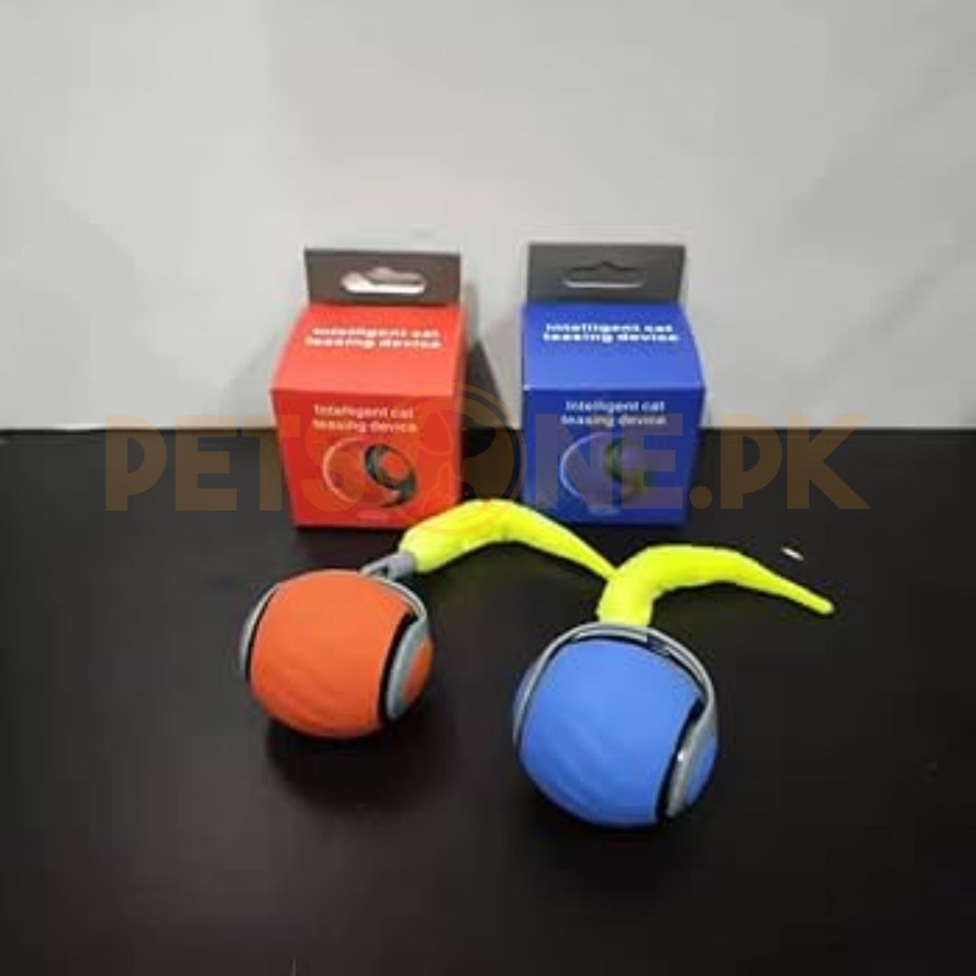 Interactive Moving Bouncing Ball CatDog Toy With Worm Interactive Moving Bouncing Ball Cat/Dog Toy With Worm - Image 1