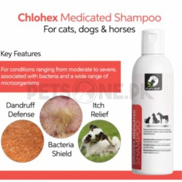 Fluff n Buff Chlohex Medicated Shampoo - Image 2
