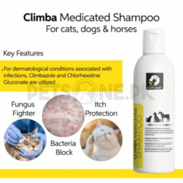 Fluff n Buff Climba Medicated Shampoo - Image 2