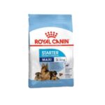 Royal Canin Maxi Starter