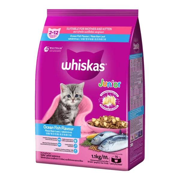 Whiskas Junior / Kitten Food Ocean Fish Flavor - Image 4