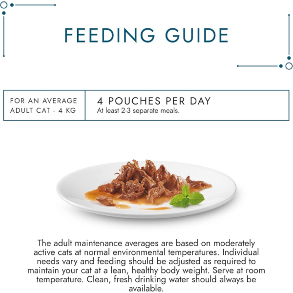 Purina Gourmet Perle Connoisseurs Collection Mini Fillets In Gravy ( 12 x 85 Gram)
