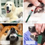 Histo Tree Tooth Brush Dental Care kit For Dogs - Image 12