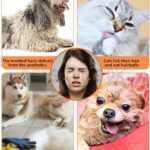 Nunbell Deshedding Tool For Cats And Dogs - Image 2