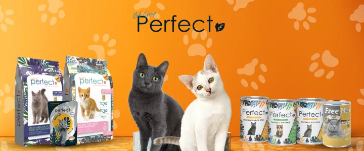 Petsone_2 Perfect cat food bags and canned wet food with a grey cat and a white kitten