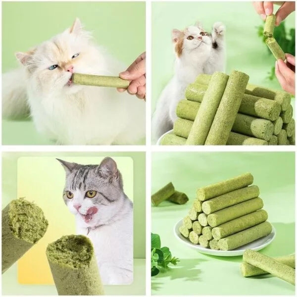 Cat Grass Teething Stick for Teeth and Hairballs - Image 2