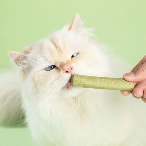 Cat Grass Teething Stick for Teeth and Hairballs - Image 6