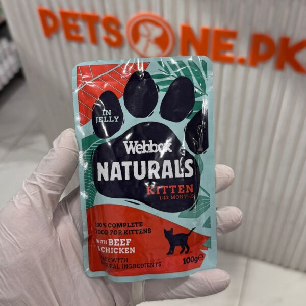 Webbox Natural Wet Food for Kittens / Jelly Pouches – 100 Gram - Image 4