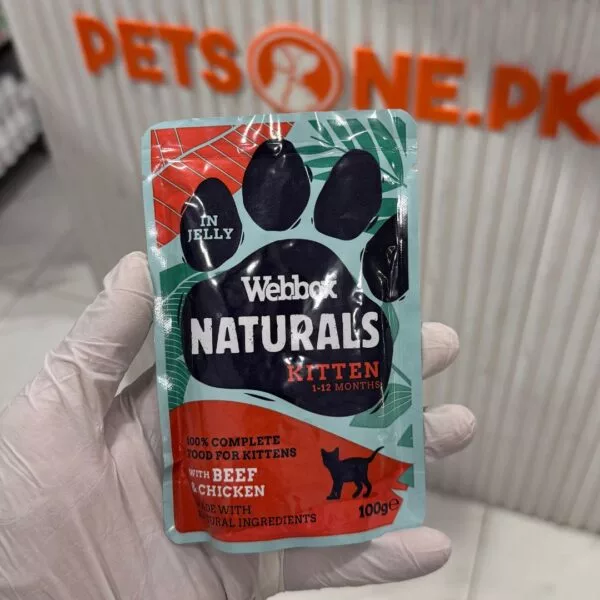 Webbox Natural Wet Food for Kittens / Jelly Pouches – 100 Gram - Image 4