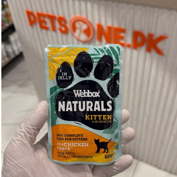 Webbox Natural Wet Food for Kittens / Jelly Pouches – 100 Gram - Image 3