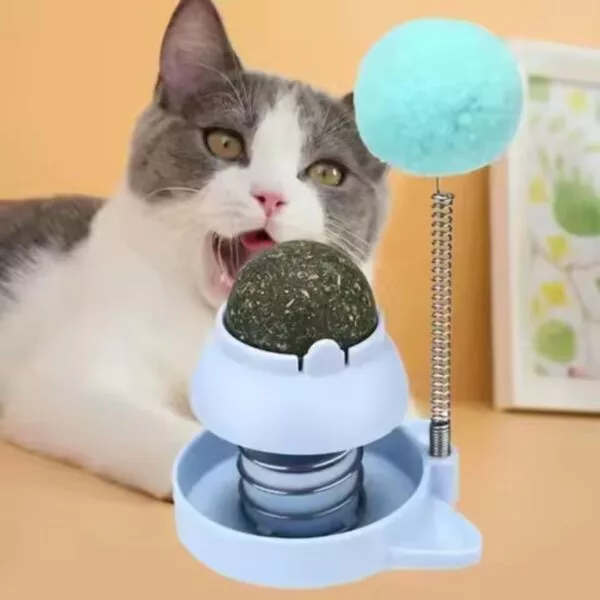 Catnip Ball with Catnip Toy - Image 2