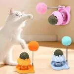 Catnip Ball with Catnip Toy